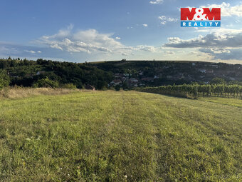 Prodej pozemku k bydlení, 7835 m², Borkovany - 11