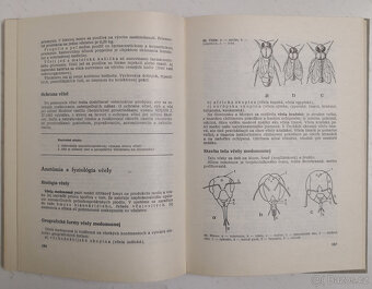 Chov malých hospodárskych zvierat - 11