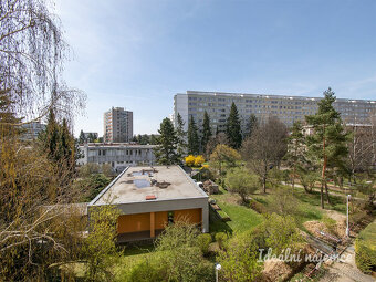 Pronájem bytu 2+kk, Ctěnická, Prosek,  18500 Kč/měs, 39 m2 - 11