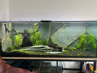 Akvárium cca 900litrů - 11