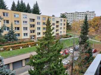 Prodej bytu 3+1 76m² Brno Kohoutovice - 11