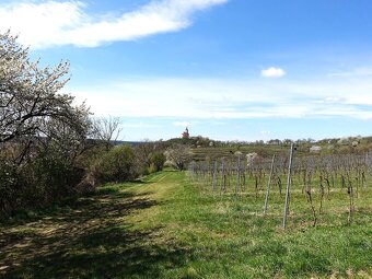 Prodej vinohradu 4114 m², Bzenec - 11