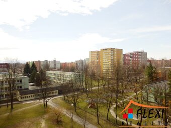 Podnájem bytu 2+1 s lodžií, 49 m2, Ostrava - Jih -Hrabůvka, - 11