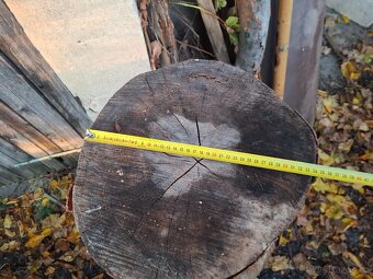 Špalek na štípáni dřeva - bukový - 11