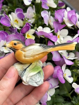Porcelánové vintage figurky. Ptáci Capodimonte. - 11