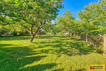 Dobšice, zahrada, ovocné stromy, zahradní domek, 721 m²,  –  - 11