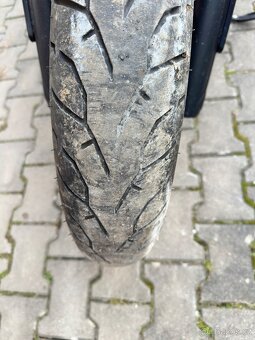 Indian Chief Dark Horse - 11