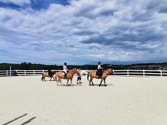 Jezdecký areál Eden – ustájení koní - 11