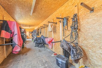 Ustájení koní – Telce u Peruce - 11