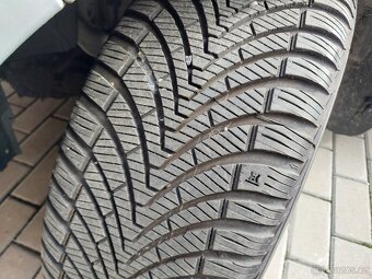 Lancia Musa  2011 - 11