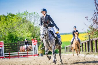 ⭐️ Krásný valášek na prodej ⭐️ - 11