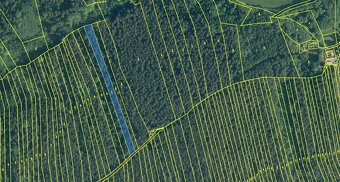 Prodám lesní pozemky v k.ú. Ločenice, p.č. 847 a 1201 - 11