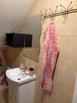 Byt 60m2 + podkroví 40 m2 - 11