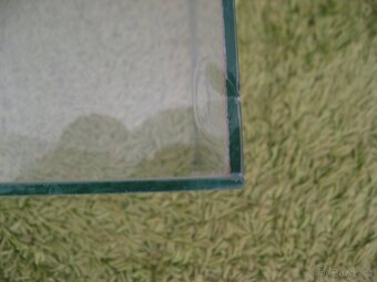 Prodám 2 akvária - 11