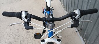 Superior Racer 24" - 11