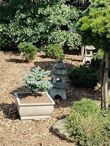 Antický betonový květináč - 11