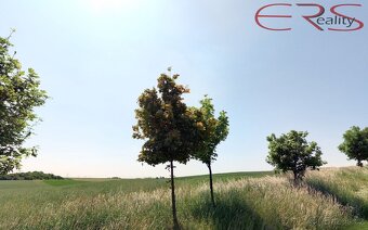 Pole, 22 918 m², Čelákovice, ev.č. 00602 - 11