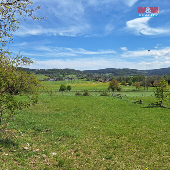 Prodej louky, 5 959 m², Zdíkov - 11