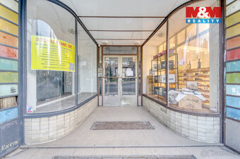 Pronájem bytu 1+kk, 23 m², Plzeň, ul. Šafaříkovy sady - 11