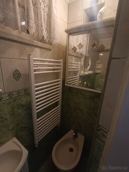 Rodinný dům ve Sviadnově - 11