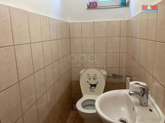 Pronájem rodinného domu, 100 m², Jinín - 11