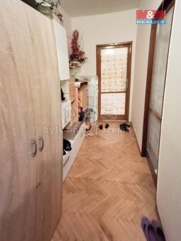 Prodej bytu 2+1, 53 m², Brno, ul. Renneská třída - 11