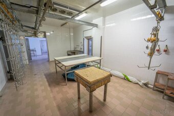 Starý Ples, prodej jatek 584 m2 s rodinným domem 287 m2 na p - 11