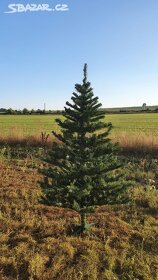 Vánoční stromeček, výška 180 cm - 11