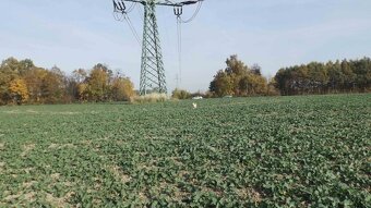 Orná půda O.- Bartovice, cca 25.000m2, rovina, 59 Kč/m2. - 11