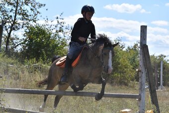 Pony kobylka kategorie S - 11