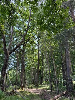 Prodám pozemky v katastrálním území Stará Hlína - 11