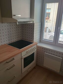 Pronájem 1+1 Štítného, České Budějovice - 11