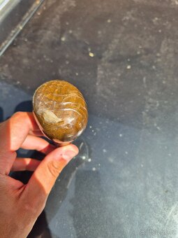 Volant + radicka Mercedes w123 - 11