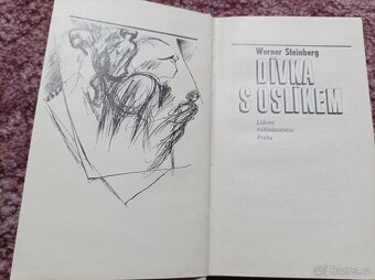 KNIHY PRO DÍVKY - dívčí romány - 11