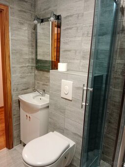 Pronájem bytu 2+1 - 11