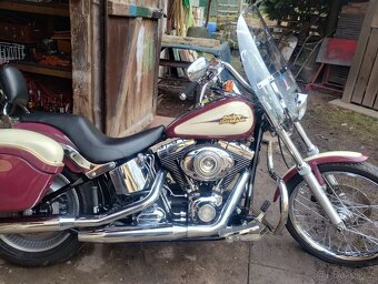 Harley Davidson softail Custom - 11