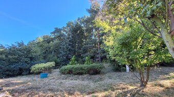 Prodej  dvou chatek  a stavebního pozemku k výstavbě RD, s p - 11