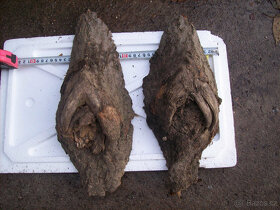 lipové dřevo, dárek pro řezbáře, lipová fošna na vyřezávání - 11