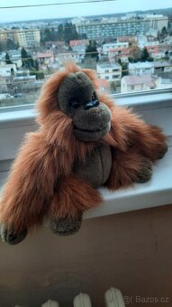 Prodam plyšáky jako nové, ceny od 30kc - 11