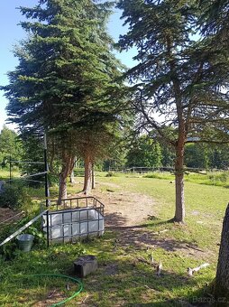 ustájení koní Paddock Paradise - 11