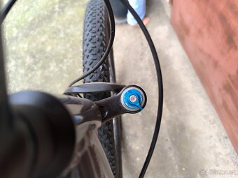 Focus Black Forest 29" - 11