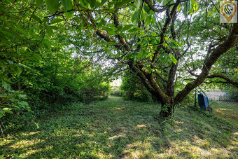 Prodej rodinného domu,130 m2,  Holovousy - 11