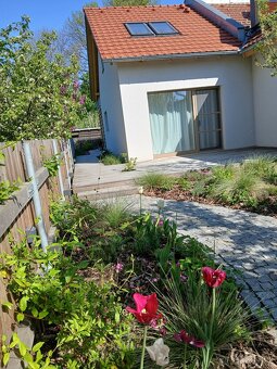 Byt resp. celý menší dům, Hradec Králové Malšovice - 11