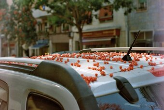 Minolta X-300 + Soligor 28mm f/2.8 - 11