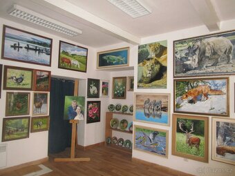 bytové doplnky-obrazy - 11