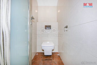 Prodej rodinného domu 269m2+G, pozemek 542m2, v Cheznovicích - 11