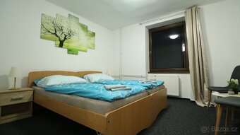 Prodej, penzion,16044 m², Oskava - 11