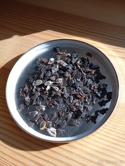 sazenice netřesků 5kč za kus,držáky na truhlíky,ačokča semen - 11