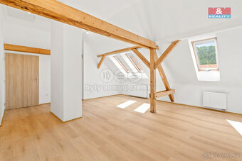 Prodej nájemního domu, 302 m², Ústí nad Labem, ul. Pionýrů - 11