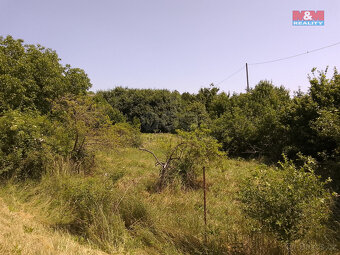 Prodej pozemku 3077 m2 , Horka I - 11